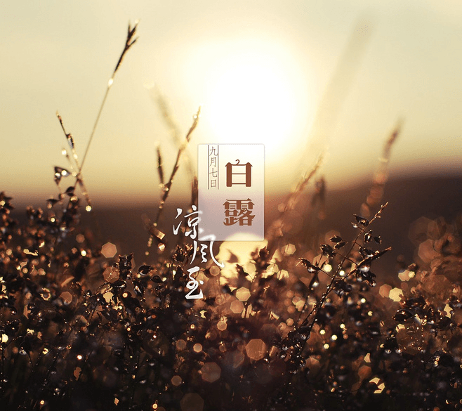 白露节气:三大习俗旺运,4大生肖运势最佳!